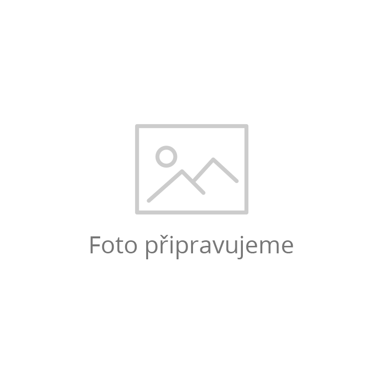 Foto se připravuje - Prodej, byty/1+kk, 41 m2, Perucká 2482/7, Vinohrady, 12000 Praha 2 [ID 63273]